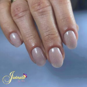 JustNails by Tina - Nagels klant - shorties naturel met holo top